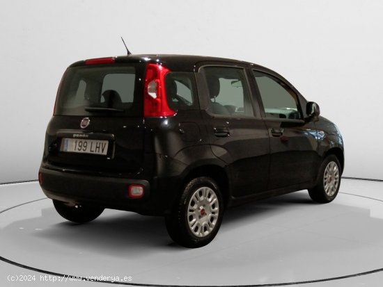 Fiat Panda Easy - Torrejón de Ardoz