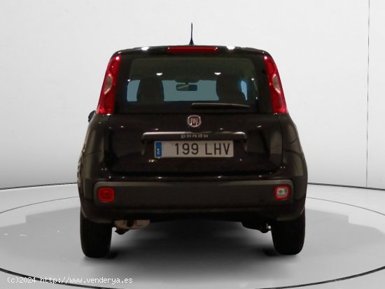 Fiat Panda Easy - Torrejón de Ardoz