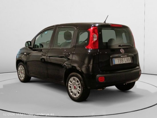 Fiat Panda Easy - Torrejón de Ardoz