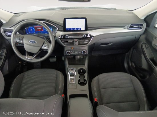 Ford Kuga Hybrid Titanium - Fontellas