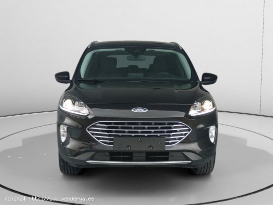 Ford Kuga Hybrid Titanium - Fontellas