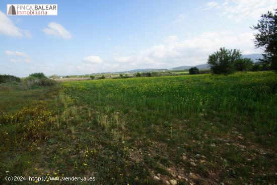 FINCA RUSTICA UBICADA EN ALGAIDA CON PROYECTO Y LICENCIA (CADUCADA) PARA EDIFICAR UNA VIVIENDA EN PL