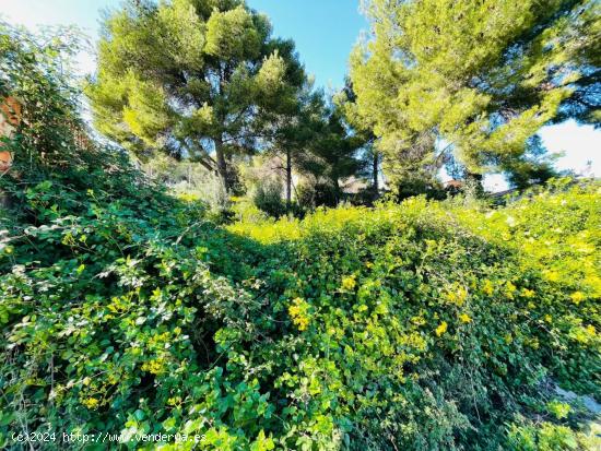 TERRENO EN BARONIA DE MAR!! - TARRAGONA