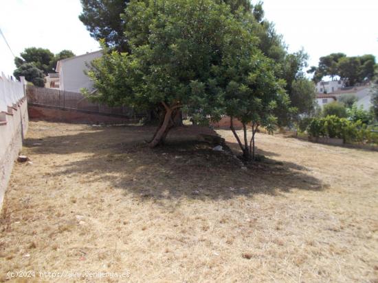 Terreno esquinero en Oasis Park de dos parcelas - TARRAGONA