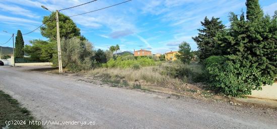 2 PARCELAS EN 1 COMPLETAMENTE LLANAS CON UN TOTAL DE 2300M² - TARRAGONA