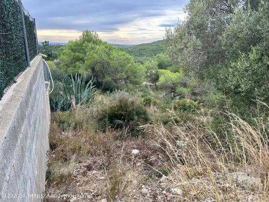 GRAN TERRENO CON VISTAS!!! - TARRAGONA