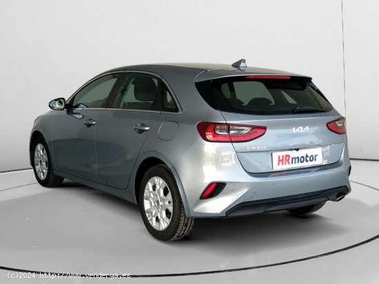 Kia Ceed Business - Fontellas