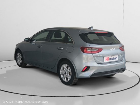 Kia Ceed Business - Fontellas