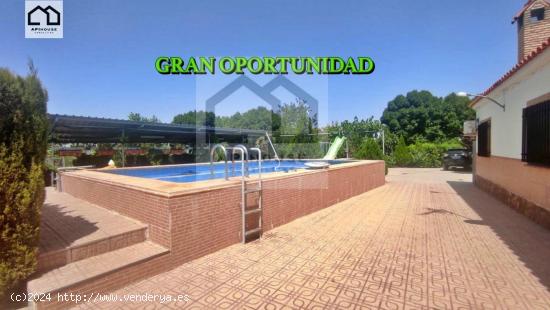  APIHOUSE VENDE CHALET ACOGEDOR EN ARGAMASILLA DE CALATRAVA. PRECIO 150.000€ - CIUDAD REAL 