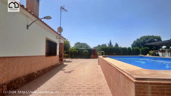 APIHOUSE VENDE CHALET ACOGEDOR EN ARGAMASILLA DE CALATRAVA. PRECIO 150.000€ - CIUDAD REAL