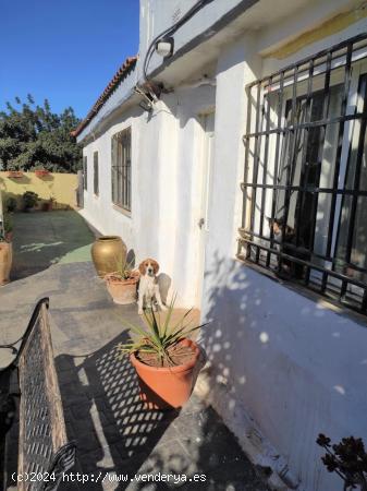 CHALET EN ZONA OLOCAU - VALENCIA