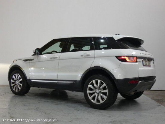 Land-Rover Range Rover Evoque Pure - Quart de Poblet