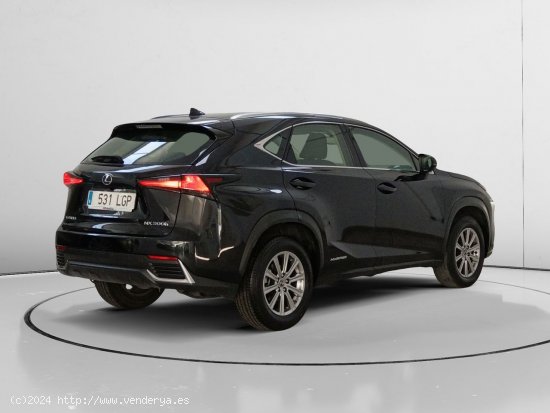 Lexus NX 300h - Torrejón de Ardoz