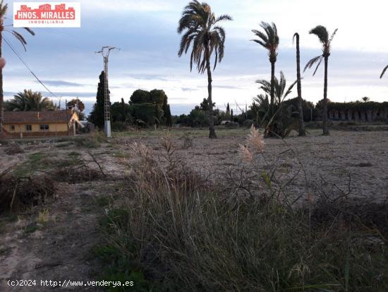 Se vende finca rustica de 80.000 mtros. en Poligono Daimes  (Elche) - ALICANTE