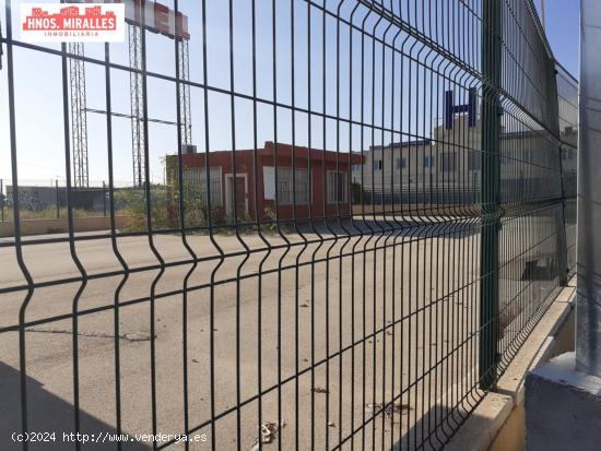 SE ALQUILA CAMPA ZONA GRANJA ROCAMORA CON 60 MTROS DE OFICINAS - ALICANTE