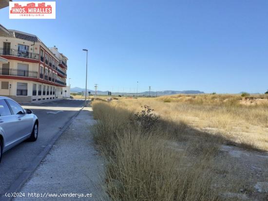 SE VENDE SOLAR DE 3200M2 - ALICANTE