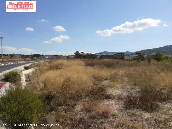 SE VENDE SOLAR DE 3200M2 - ALICANTE