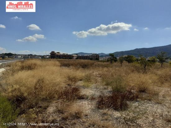 SE VENDE SOLAR DE 3200M2 - ALICANTE