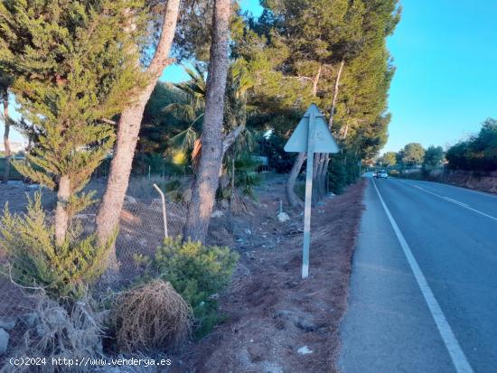 Se alquila finca para parking con nave en Benijofar - ALICANTE