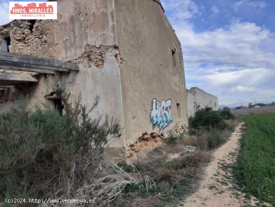 Se vende Finca Rustica con casa - ALICANTE