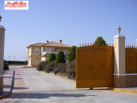 ¡¡ EXPECTACULAR CHALET EN PARTIDA DE ALZABARES.!! - ALICANTE