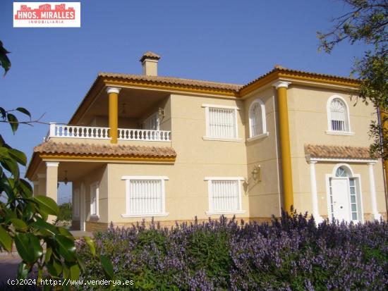 ¡¡ EXPECTACULAR CHALET EN PARTIDA DE ALZABARES.!! - ALICANTE