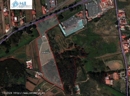 OPORTUNIDAD TERRENO RURAL CON CULTIVO DE VIÑA 14.000m² - SANTA CRUZ DE TENERIFE