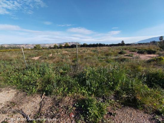 Terreno de dos hectáreas en Alhama de Murcia - MURCIA