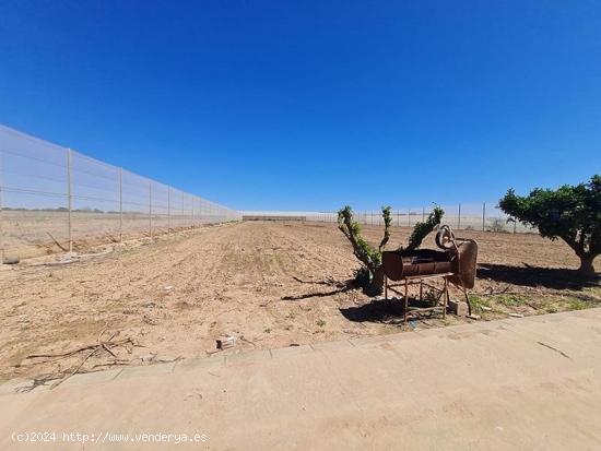  Terreno rústico con casa en San Cayetano - MURCIA 