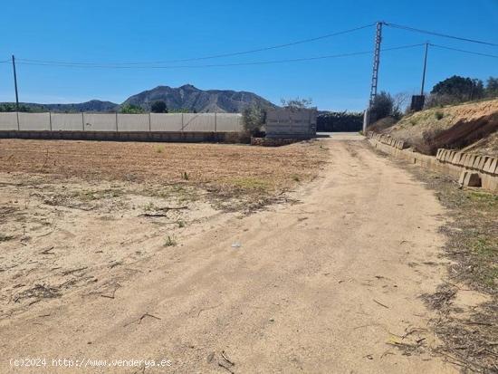 Terreno rústico con casa en San Cayetano - MURCIA