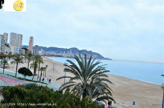 SE VENDE PISO DE TRES DORMITORIOS EN PRIMERA LINEA DE PLAYA PONIENTE SEVEND GROUP .ES - ALICANTE