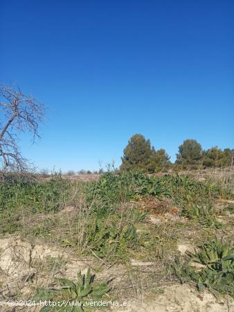 CARIHUELA SOL ALQUILA TERRENO RUSTICO EN OCAÑA - TOLEDO