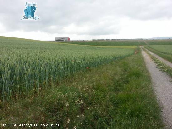 Se vende Fincas de Cereal en LA PUEBLA DE ARGANZÓN. - BURGOS