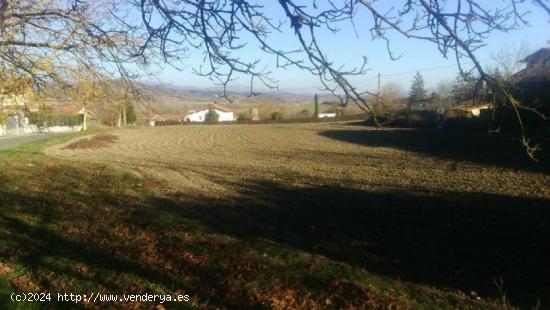 finca urbanizable en mendijur centro - ALAVA