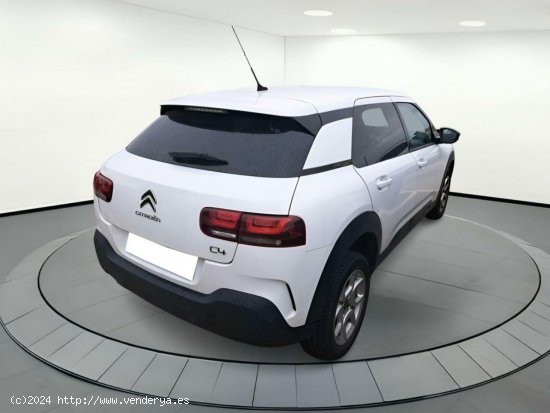 Citroën C4 Cactus FEEL 1.5 BLUEHDI 100 CV MT6 E6DT - ALCORCON