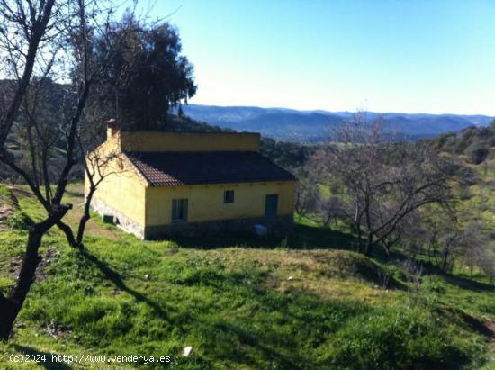 FINCA RUSTICA EN LA ZONA DE ESPIEL ( CORDOBA ) - CORDOBA