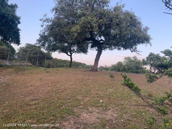 TERRENO EN ZONA CALASANCIO - CORDOBA