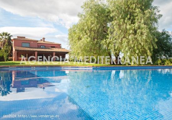 Finca de 13000m2 en Denia - ALICANTE