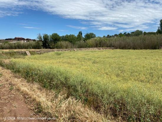 Terrenos en Sant Fruitós de Bages - BARCELONA