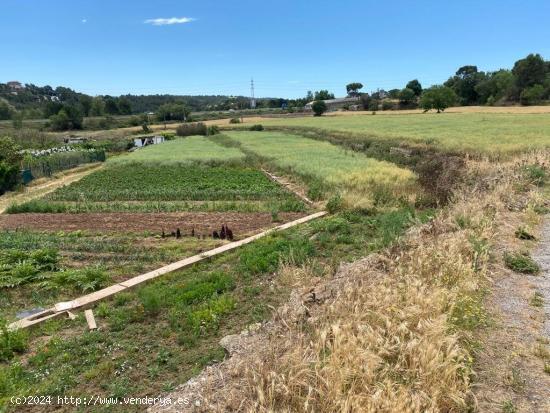 Terrenos en Sant Fruitós de Bages - BARCELONA