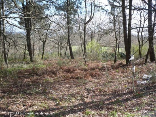 SE VENDEN VARIAS PARCELAS EN BRANS DE ABAIXO (BRIÓN) - A CORUÑA