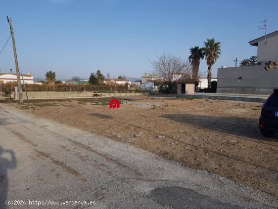  Terreno Urbano de 569 m2 C/ Pintor Sorolla en Deltebre - TARRAGONA 