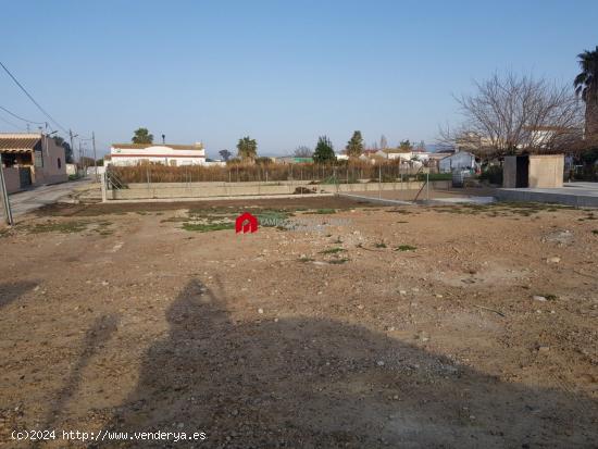 Terreno Urbano de 569 m2 C/ Pintor Sorolla en Deltebre - TARRAGONA