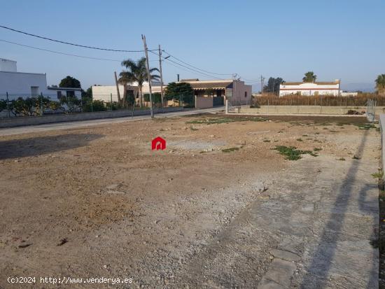 Terreno Urbano de 569 m2 C/ Pintor Sorolla en Deltebre - TARRAGONA