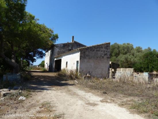 Finca Rustica  ideal para Agroturismo con dos pozos de agua en Palma - BALEARES