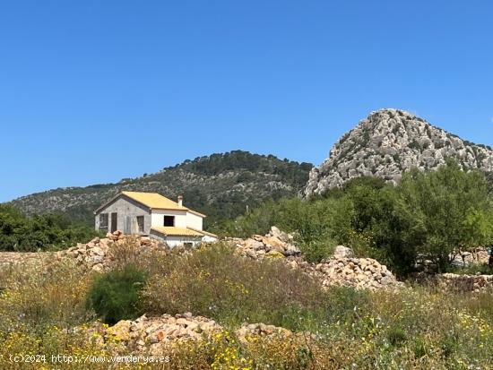  Finca Rústica en construcción al lado del Pueblo de LLucmajor con magníficas vistas - BALEARES 