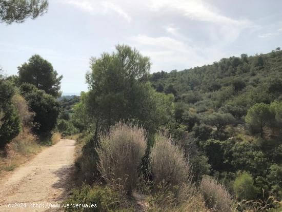  Finca Rustica Ideal para cazadores - TARRAGONA 