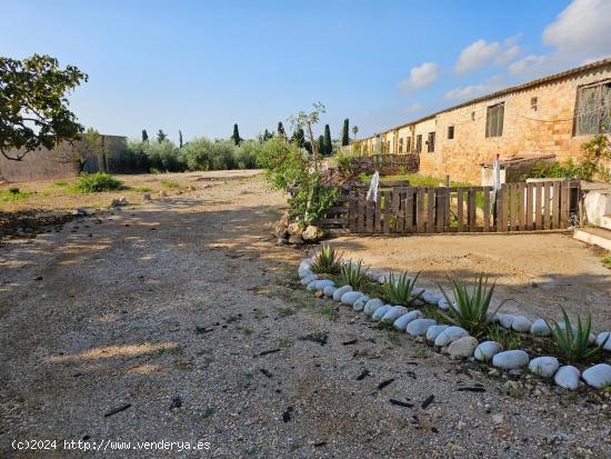 FINCA URBANIZABLE A 2 KM DE LA RAPITA - TARRAGONA