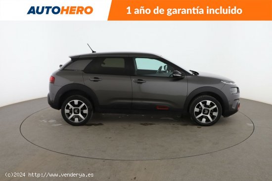 Citroën C4 Cactus 1.5 BlueHDi Shine - 