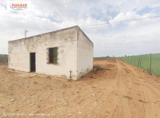 CAMPO CON CASETA AGRICOLA   ZONA CMAINO DEL OLIVAR - CADIZ